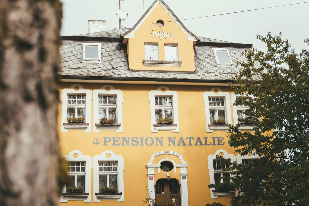 Apartmany Natalie Františkovy Lázně Exterior foto