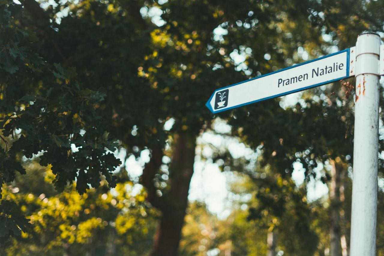 Apartmany Natalie Františkovy Lázně Exterior foto