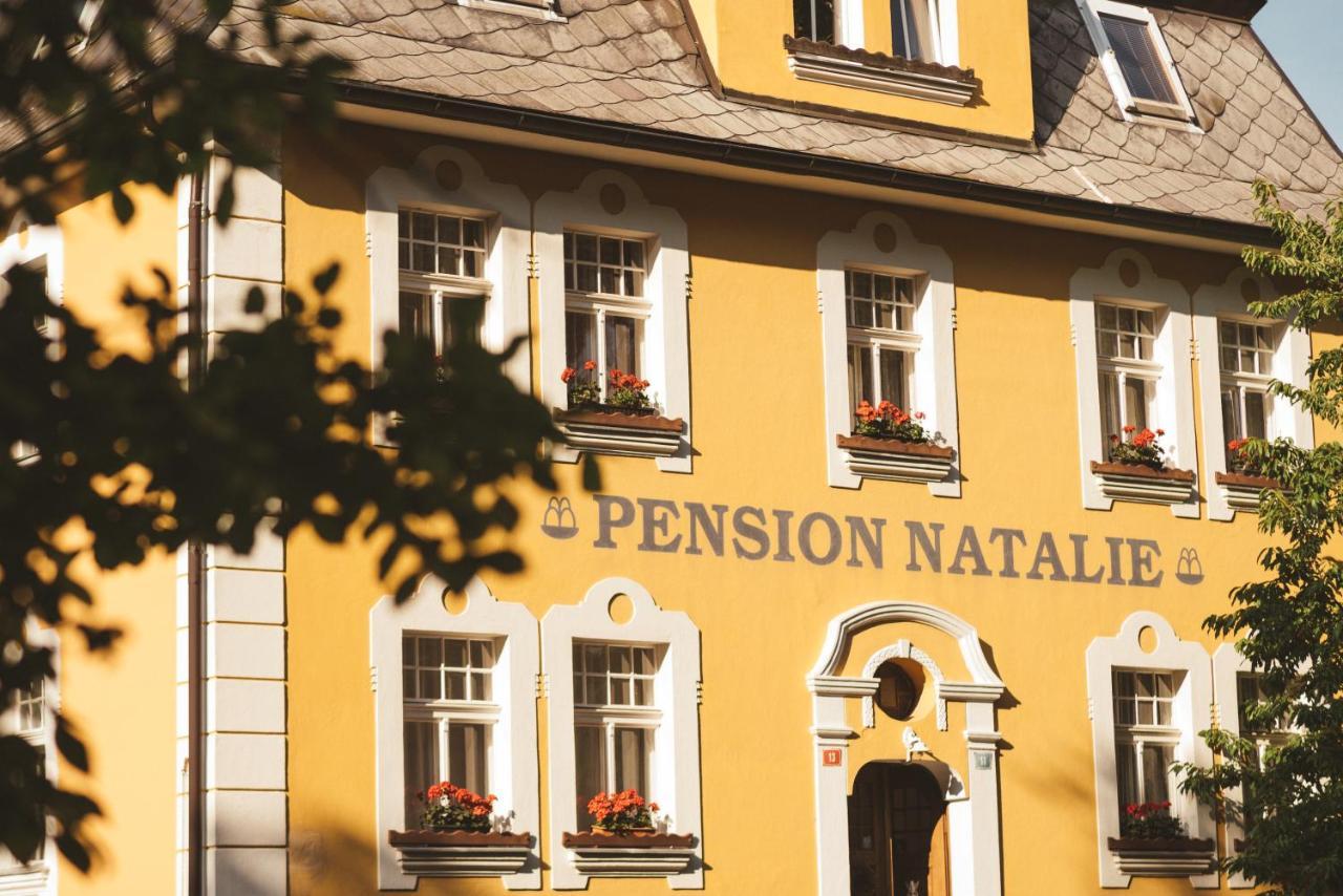 Apartmany Natalie Františkovy Lázně Exterior foto